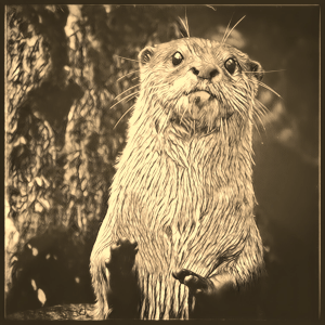 File 15-11-2018, 22 18 31